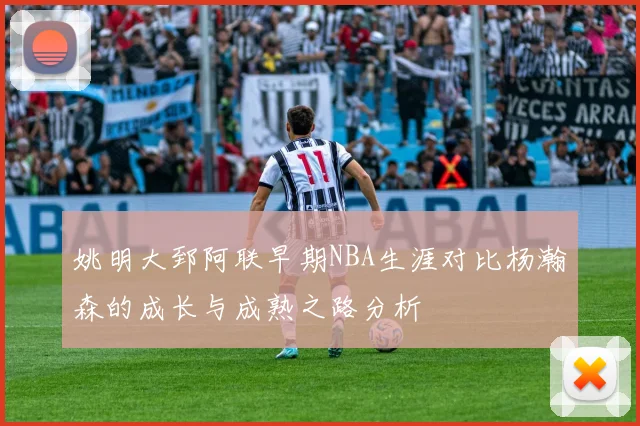 姚明大郅阿联早期NBA生涯对比杨瀚森的成长与成熟之路分析
